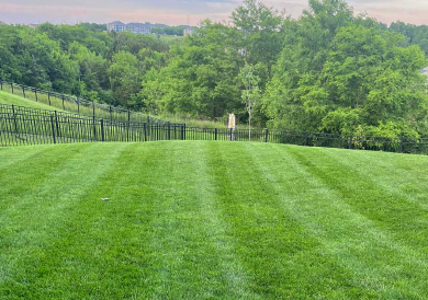 ah-landscaping-outdoors-services-390x274-2